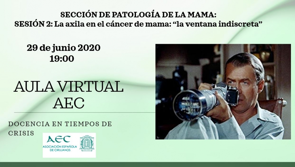 Webinar- Aula Virtual de la AEC- Sección de Patología de la Mama: Sesión 2: La axila en el cáncer de mama: "La ventana indiscreta".
