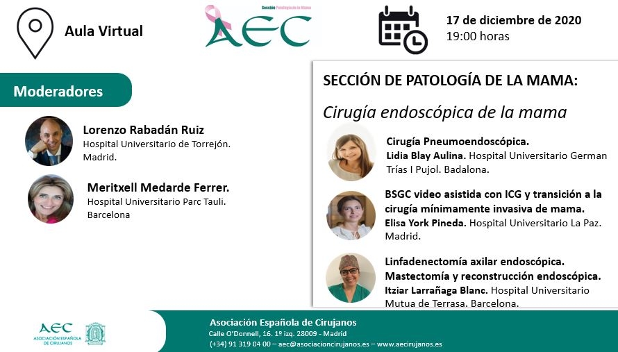 Webinar- Aula Virtual de la AEC- Sección de Patología de la Mama: Sesión 9: "Cirugía endoscópica de la mama"