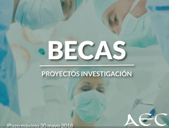 Becas para Proyectos de Investigación de la Asociación Española de Cirujanos