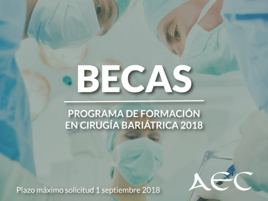 Becas para el Programa de Formación en Cirugía Bariátrica 2018